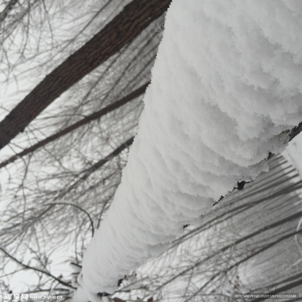 质感的雪