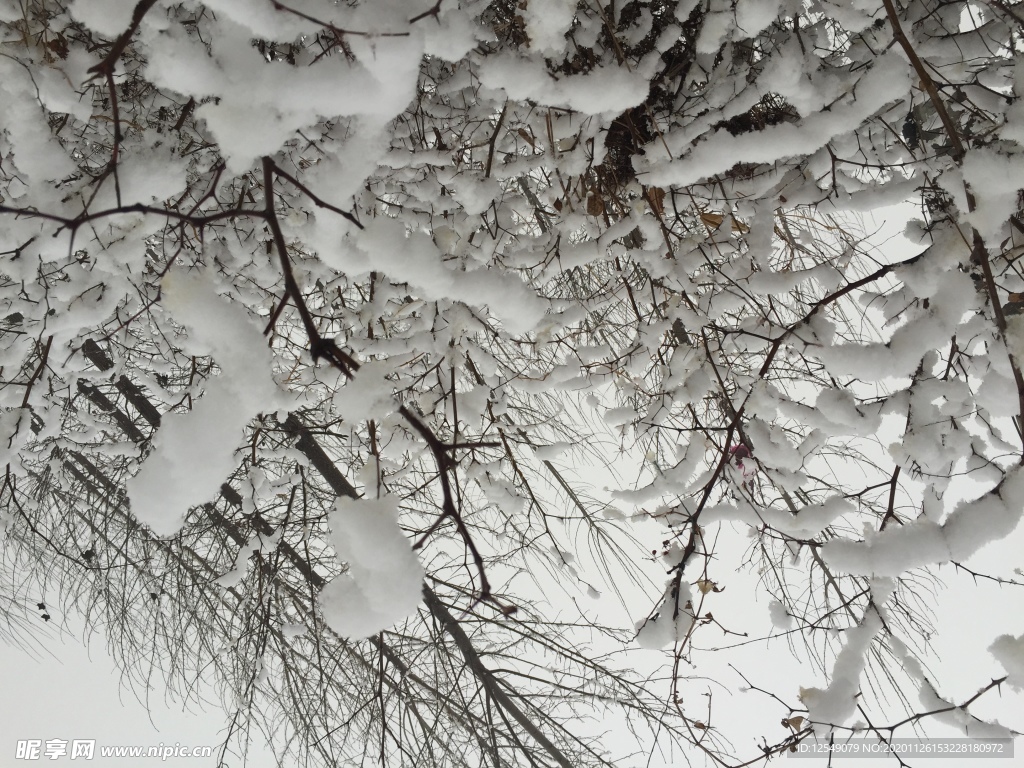 【高清图】白雪皑皑-中关村在线摄影论坛