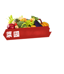 菜园子
