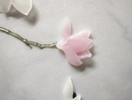 玉兰花