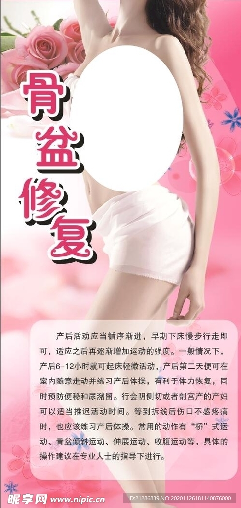 骨盆修复海报
