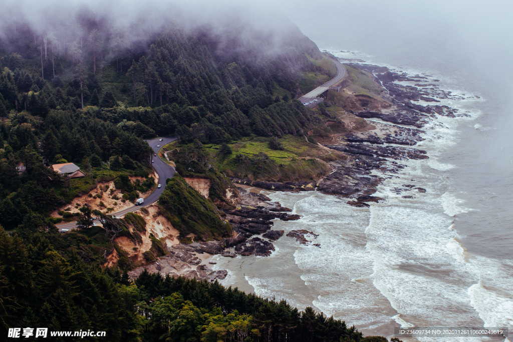 海滨 自然风景 山 岩石 针叶