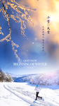 房地产大雪