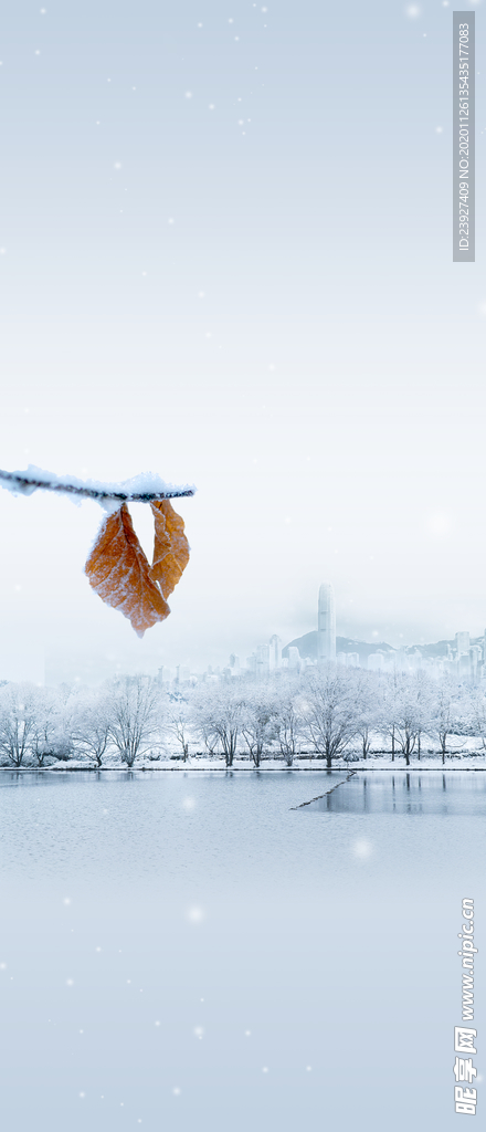 房地产大雪