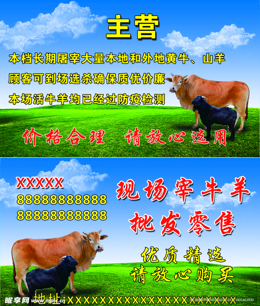 牛羊名片