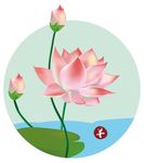 荷花