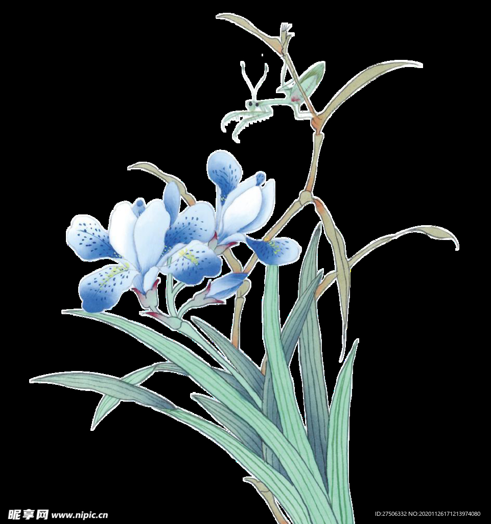 手绘花素材