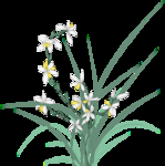 手绘花