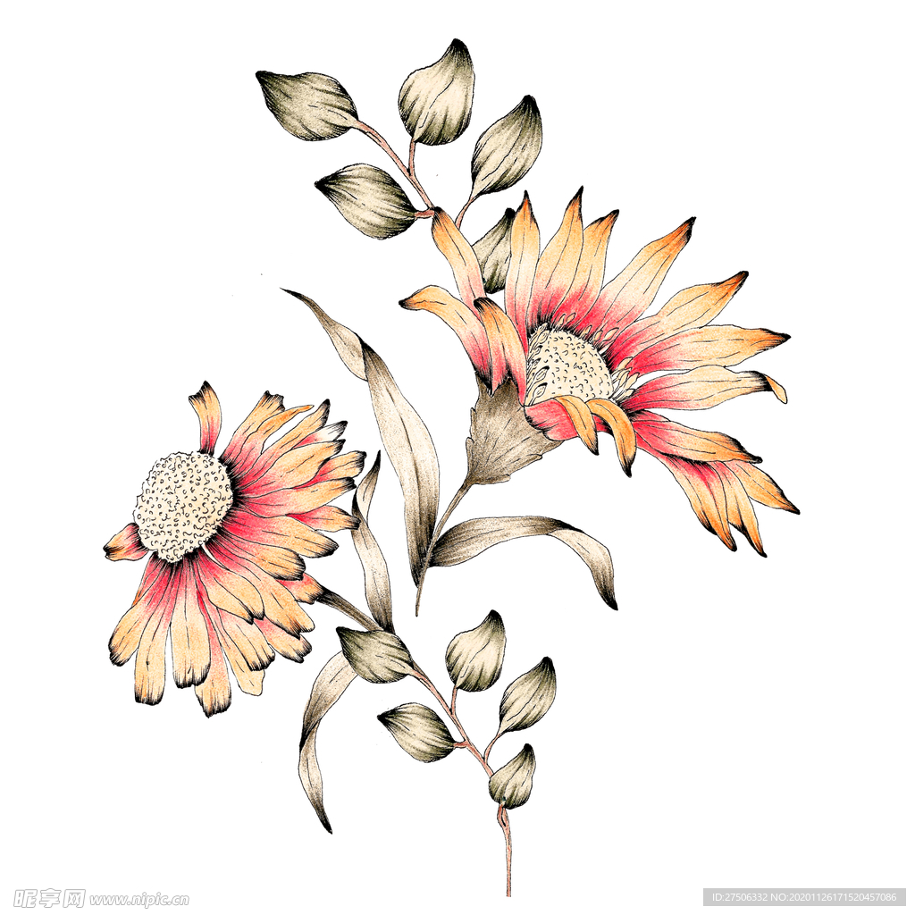 手绘花素材
