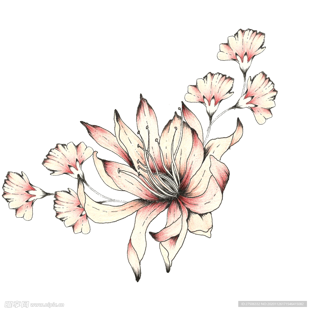 手绘花素材