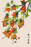 插画素材