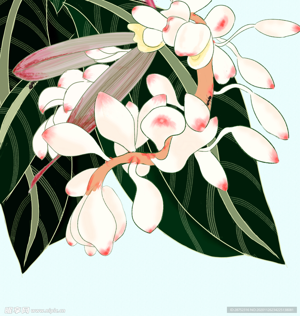 插画素材