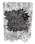 植物 花 矢量