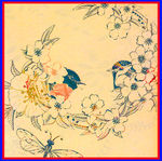 手绘 花鸟