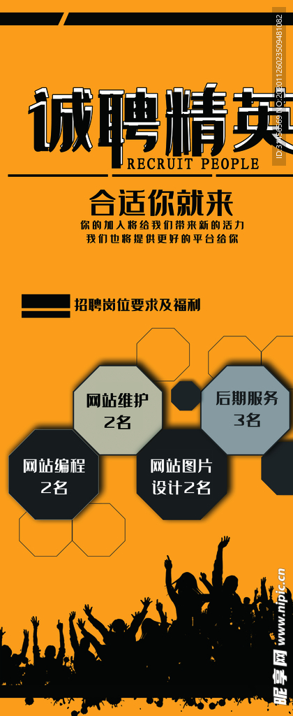 诚聘精英