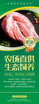 农场直供