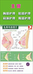 胸部护理 脸部护理 肩颈护理