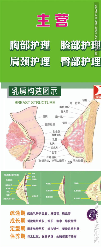 胸部护理 脸部护理 肩颈护理