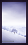 雪