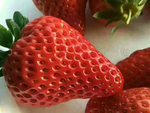 草莓