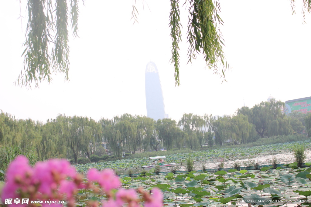 大明湖风景