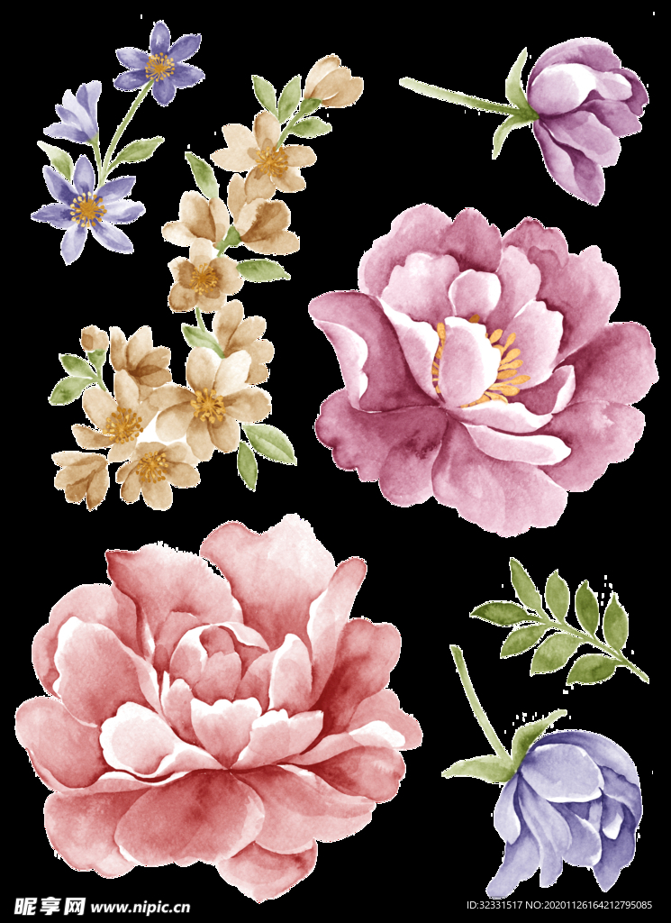 手绘花