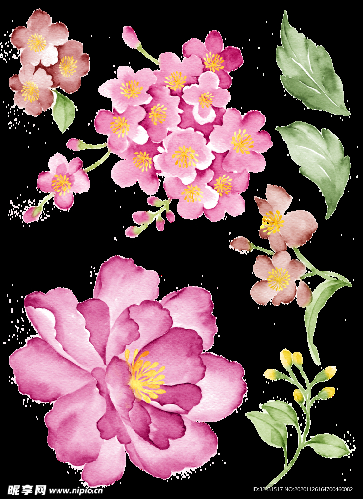 手绘花