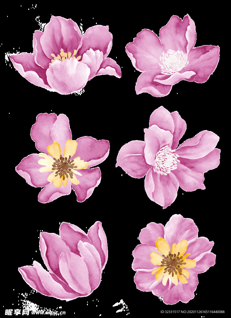 手绘花