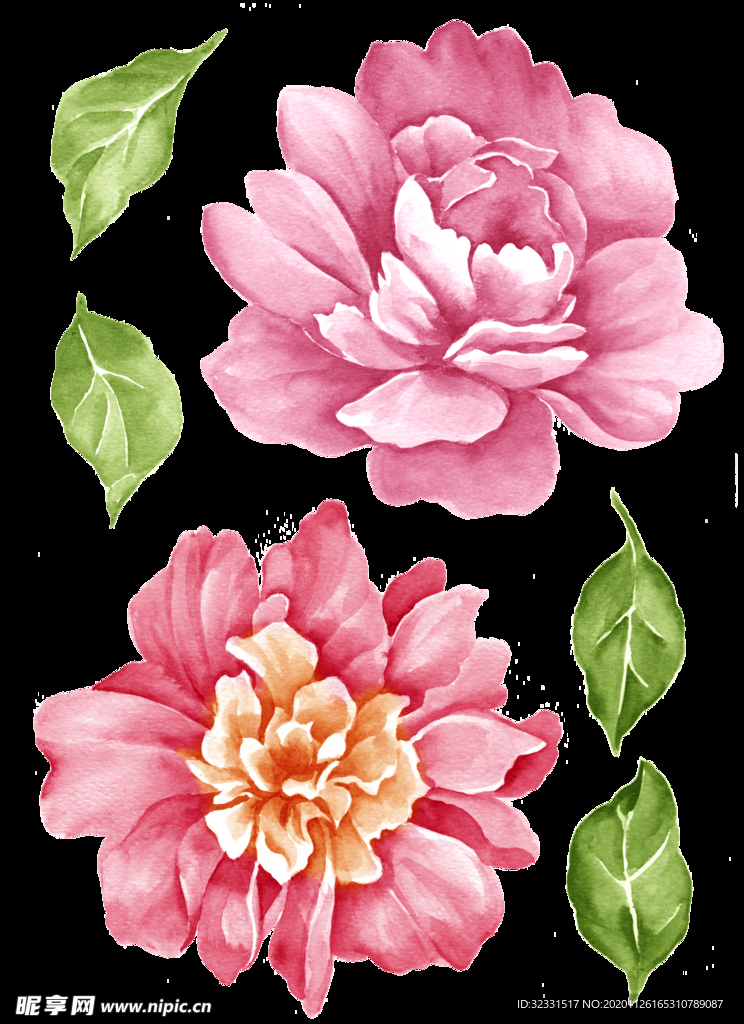 手绘花