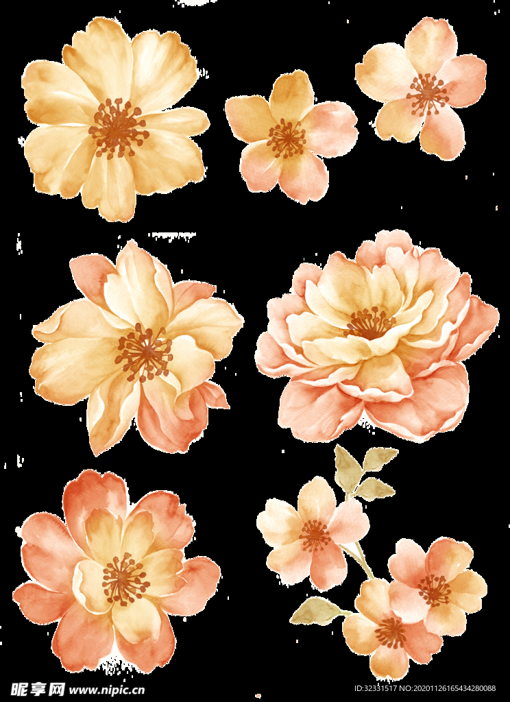 手绘花