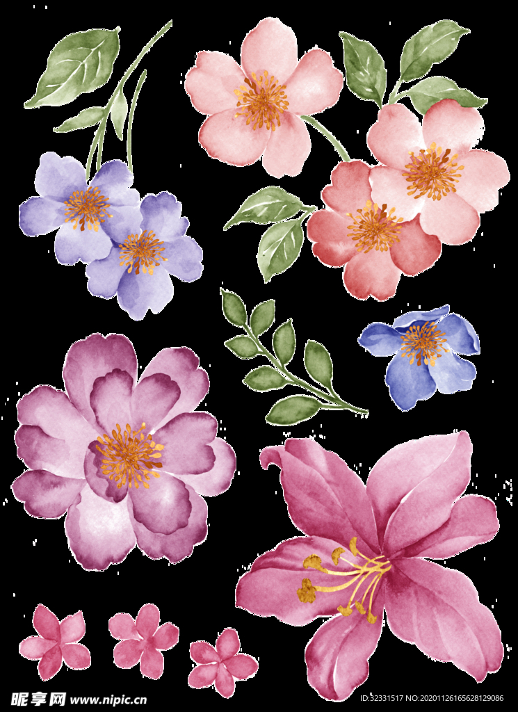 手绘花