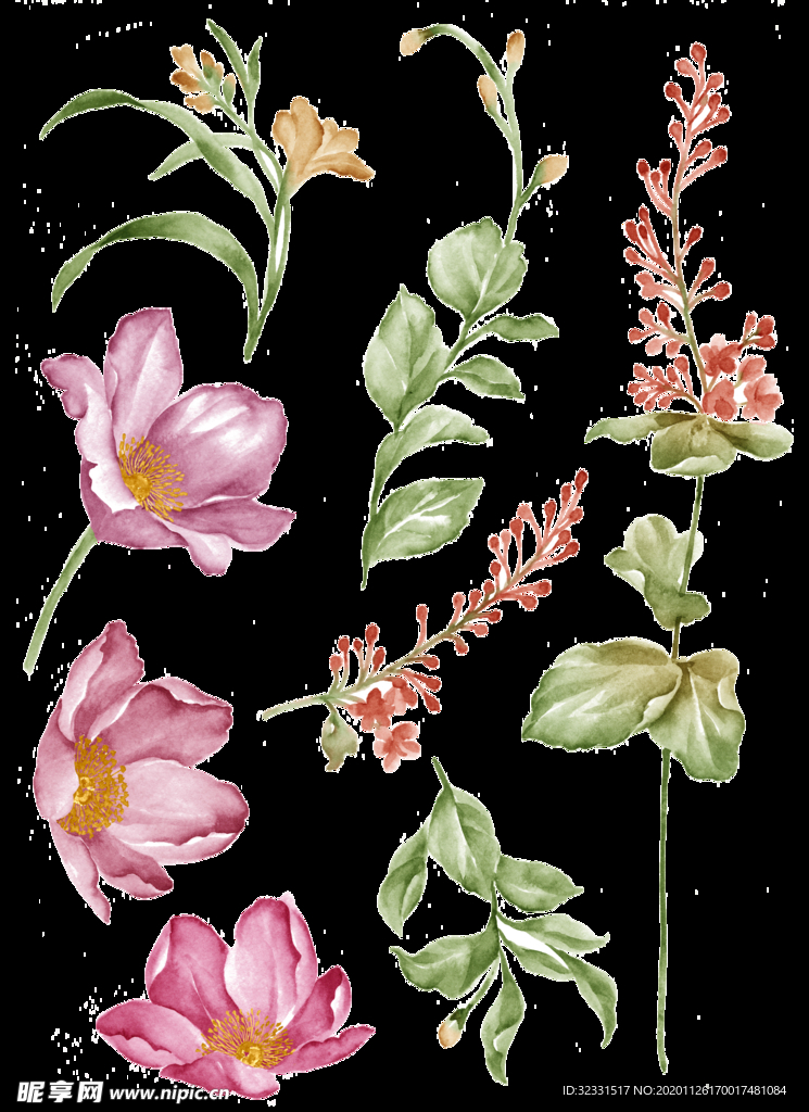 手绘花
