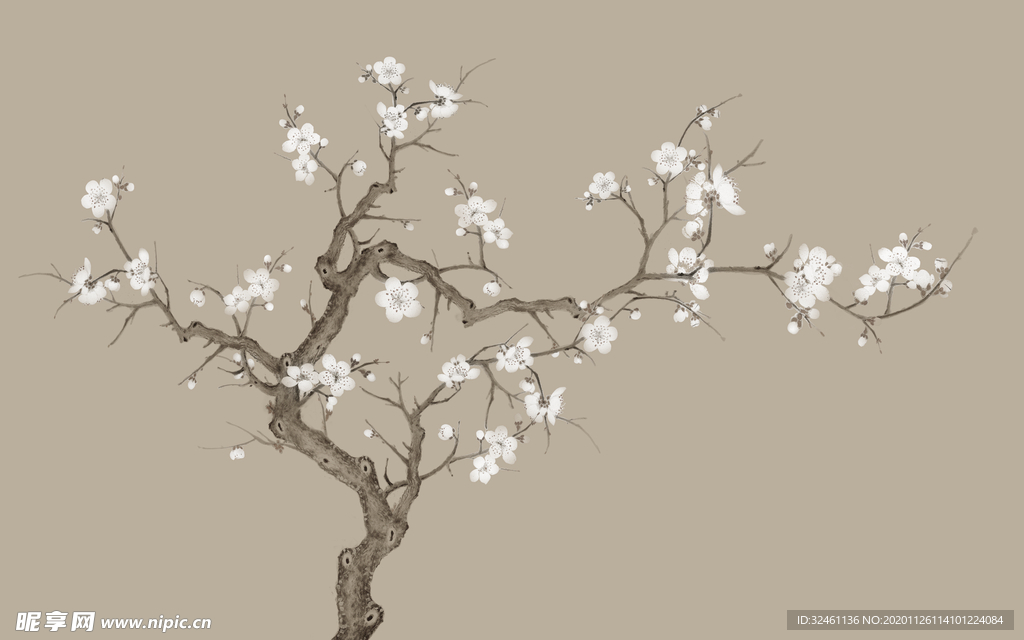 花鸟