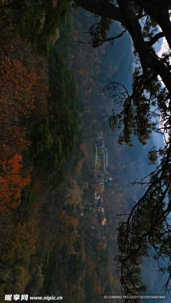 寒秋