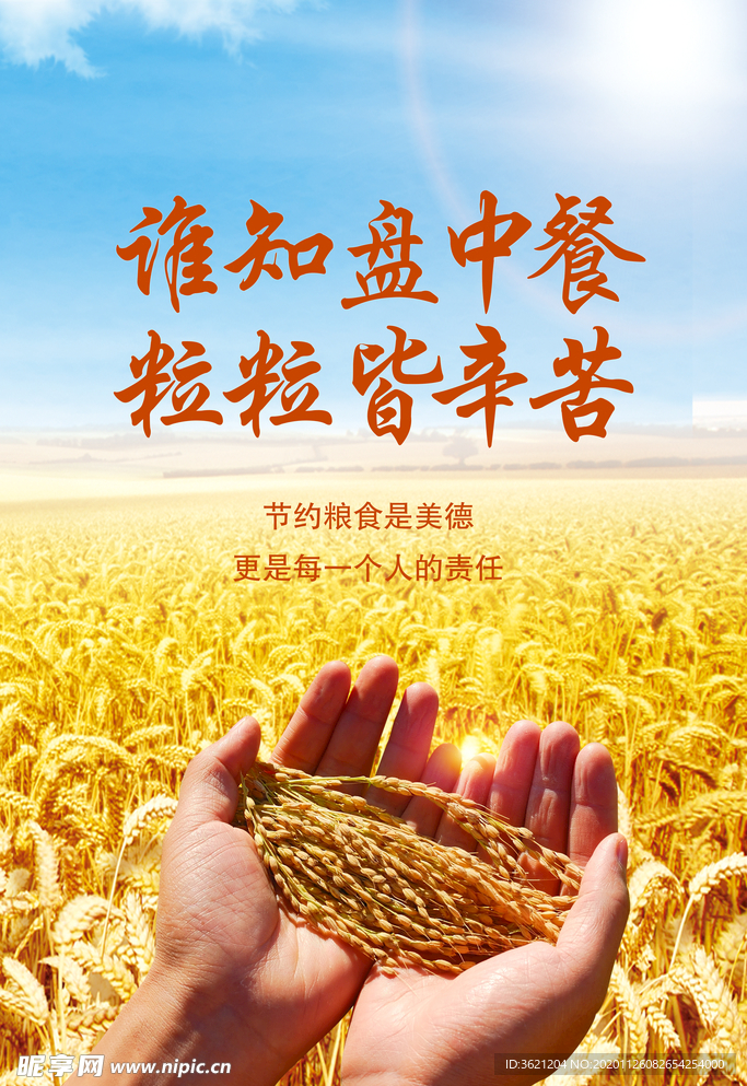 节约粮食