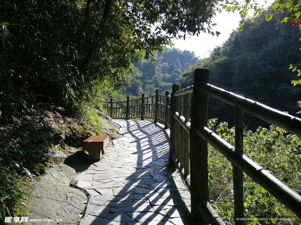 林间 小道 龙景峡谷