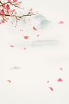 花瓣背景
