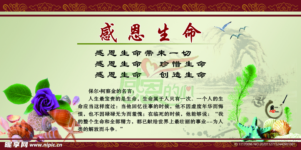感恩生命