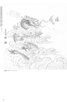 龙