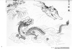 龙