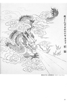 龙