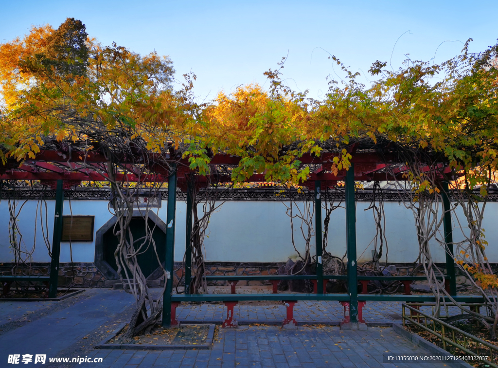 北京 圆明园 秋色