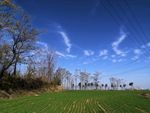 魅力田野