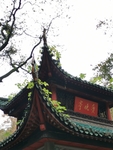 岳麓山爱晚亭秋色