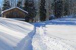 冬天雪景图片