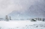 冬天雪景图片