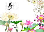 高清荷花背景墙