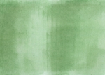 纸纹