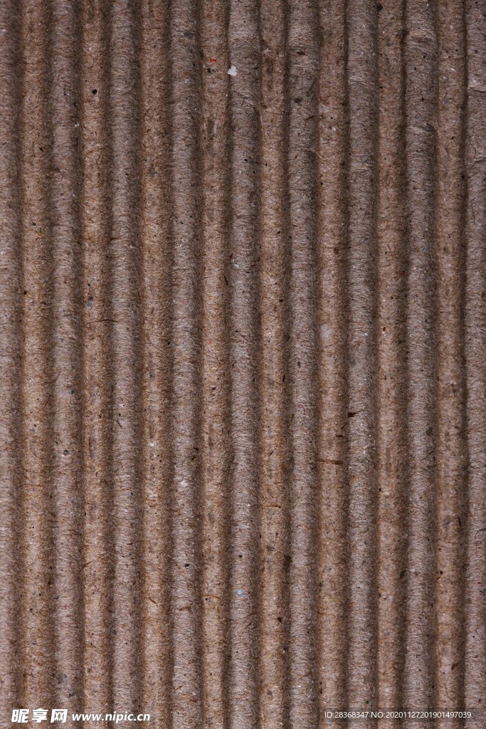 纸纹
