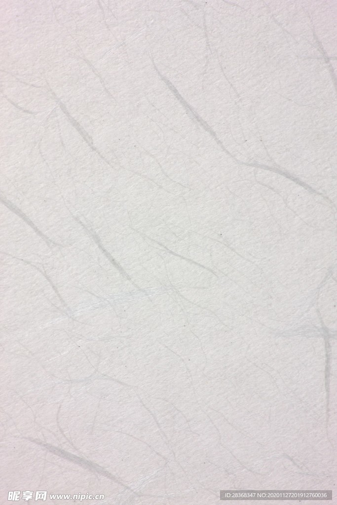 纸纹